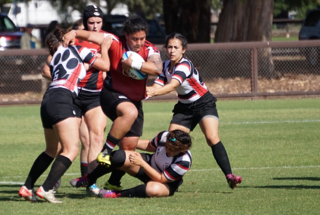 Central Washington Debuts At Di Playoffs Goff Rugby Report