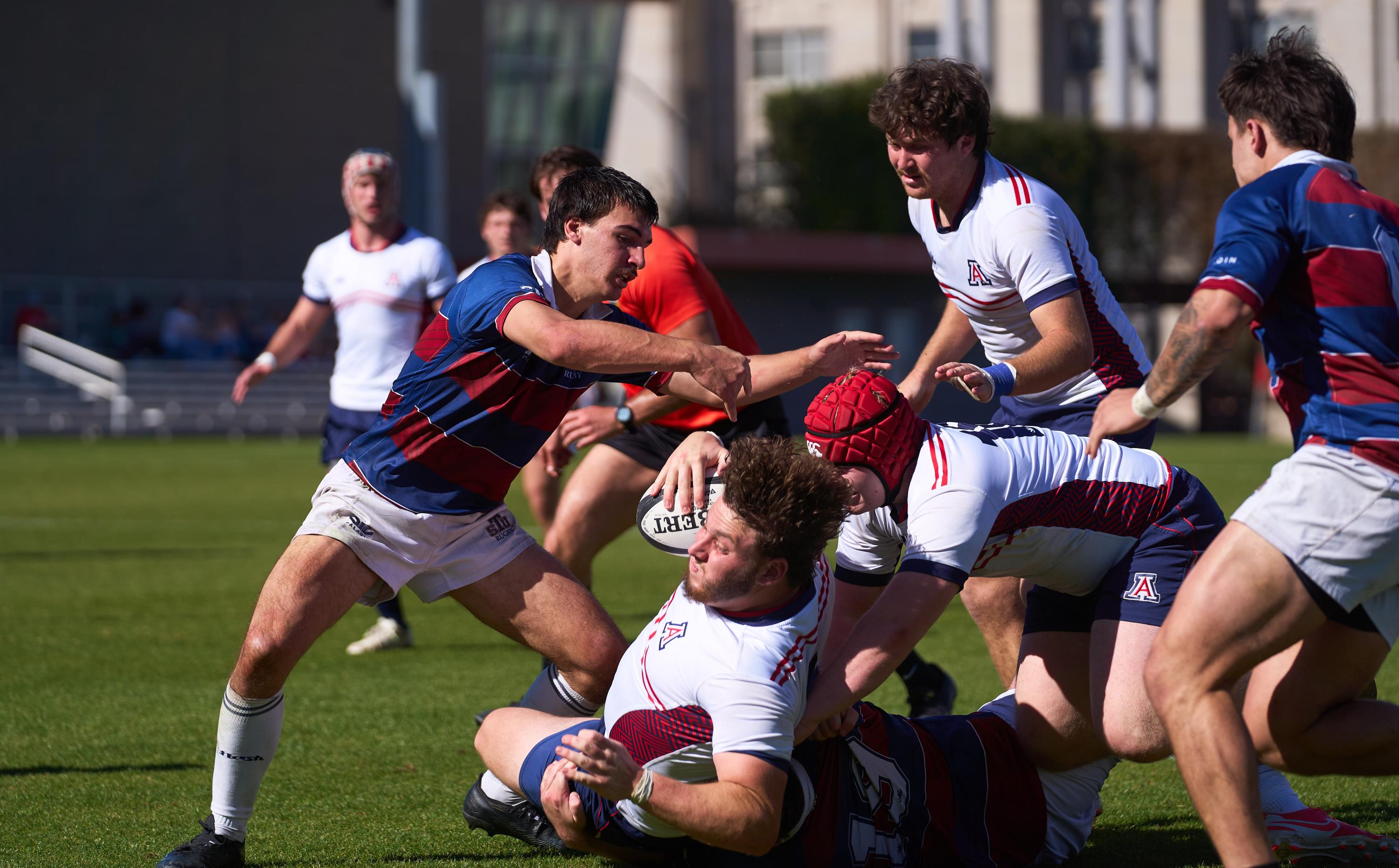 Arizona vs St. Thomas January 2026. Photo Josh Pearson.
