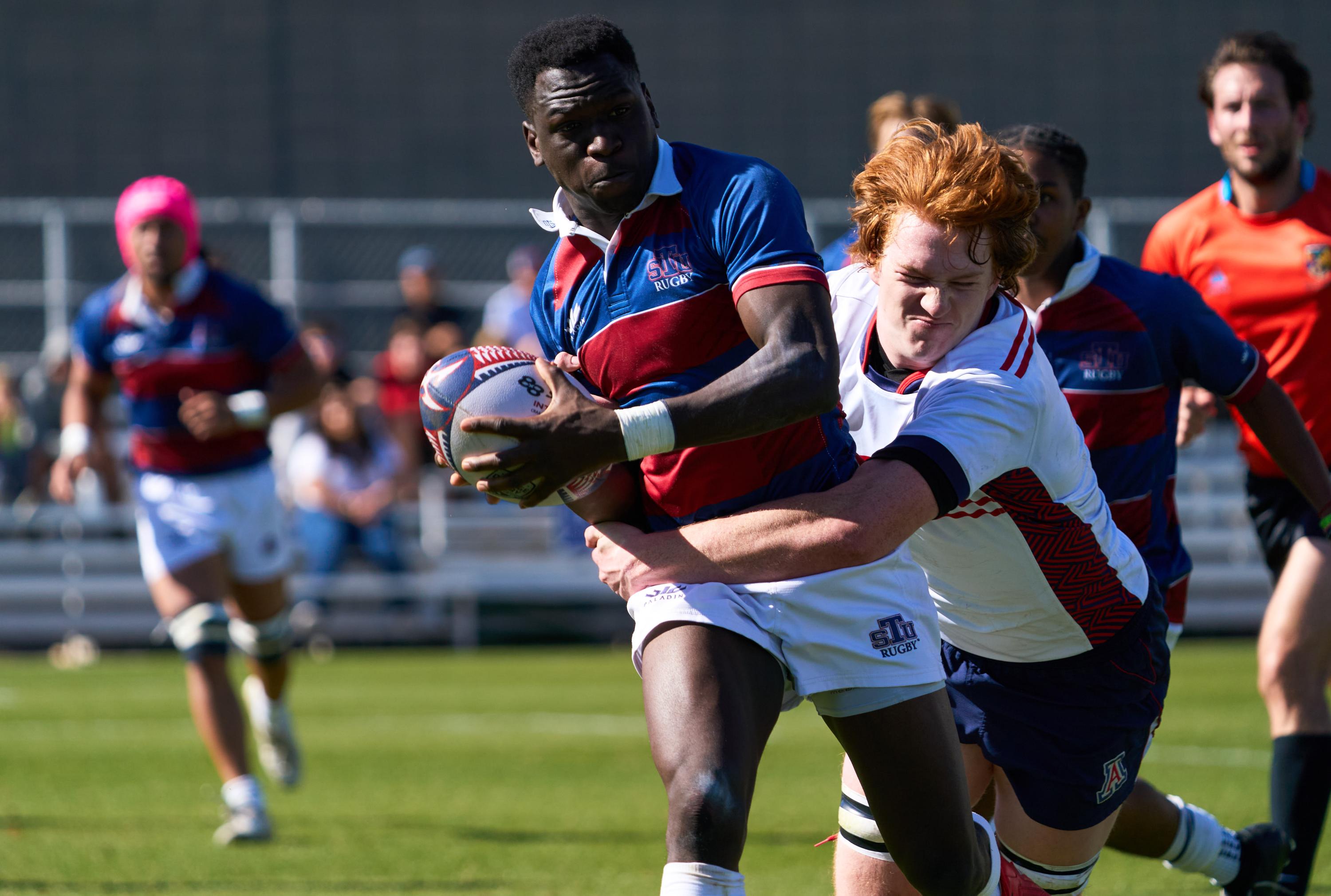 Arizona vs St. Thomas January 2026. Photo Josh Pearson.