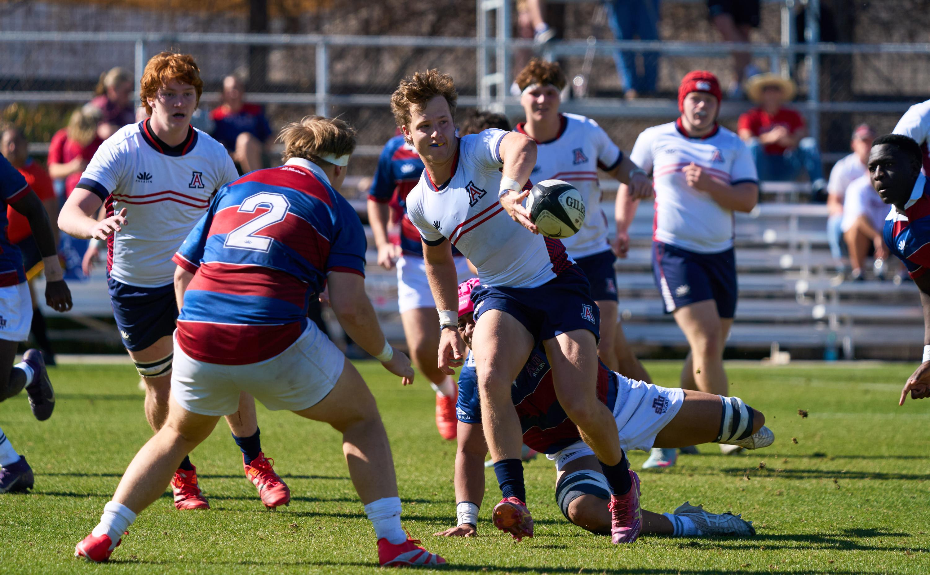Arizona vs St. Thomas January 2026. Photo Josh Pearson.