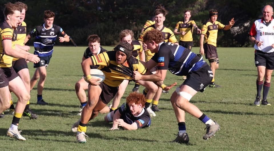 Isaiah Lolesio-Pua with Brighton