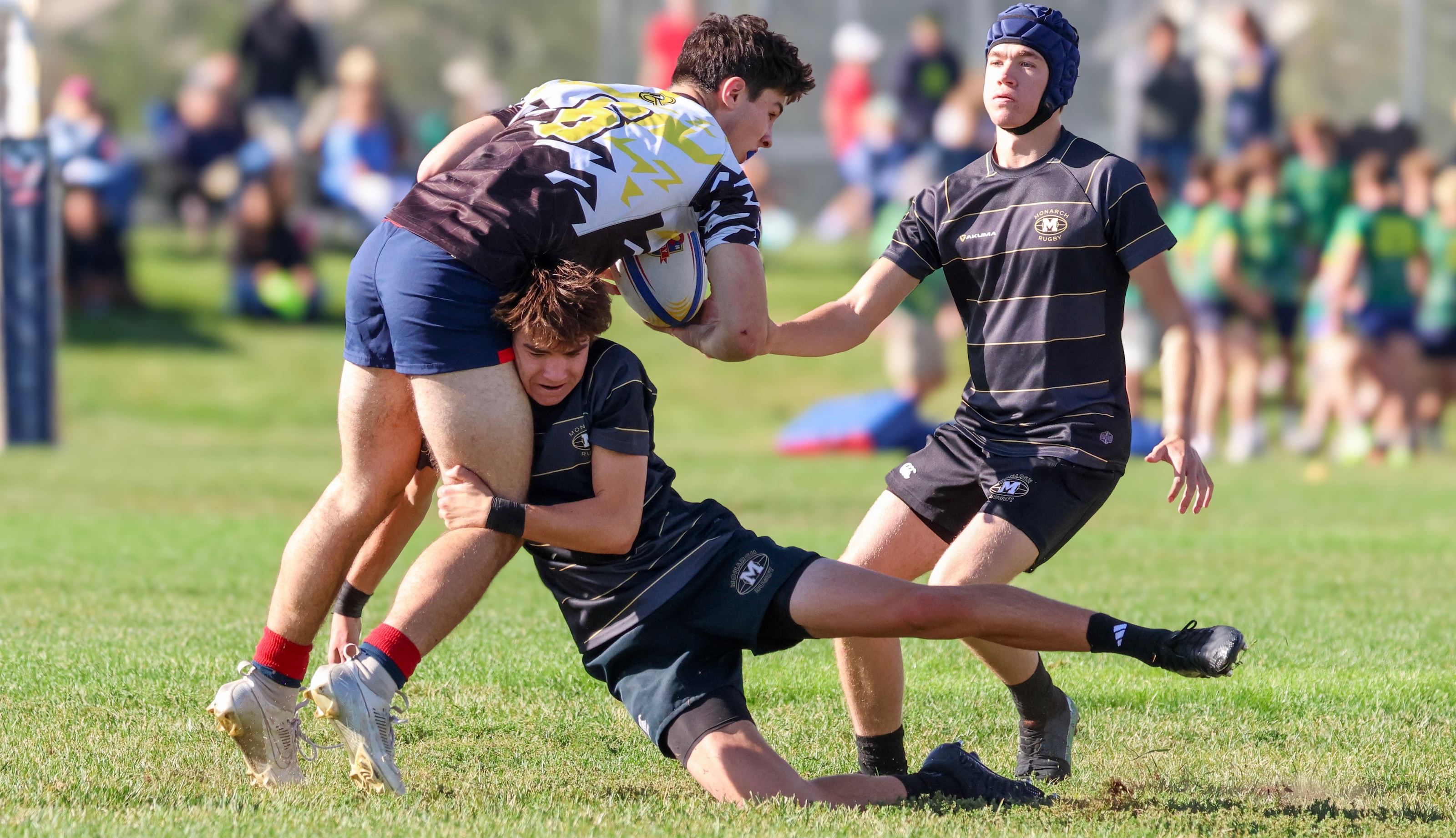 Hard defense by Monarch. Bronwyn Clark photo.