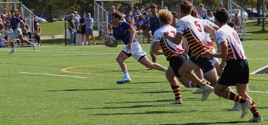 gvsu reinhardt stipp