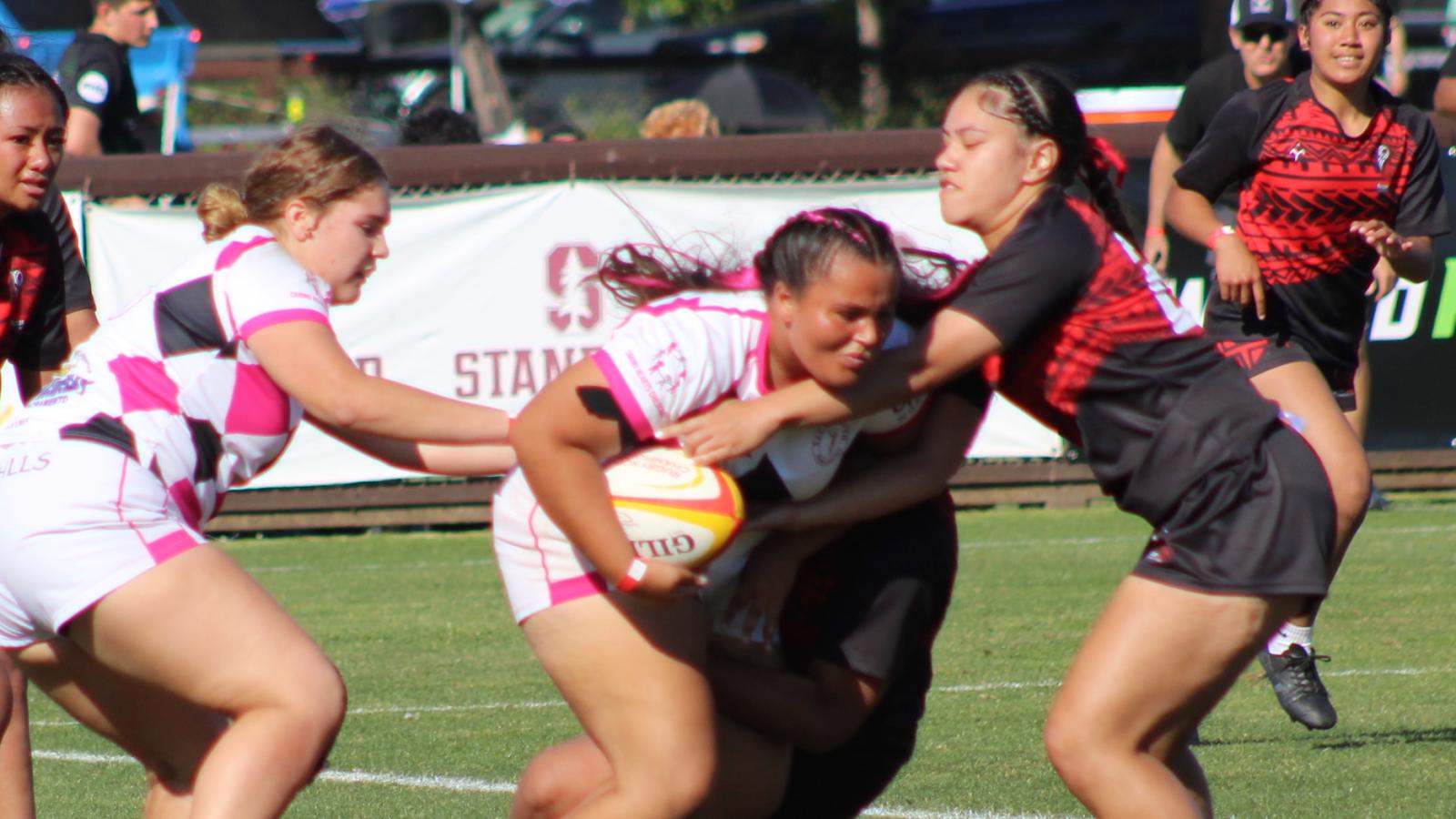 Harlequins vs EPA NorCal Final 2026. Photo Alex Goff.