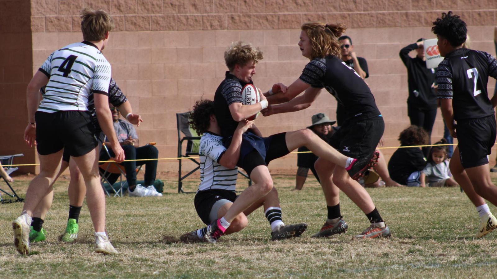 2024 Puriri Invitational. Photo Alex Goff.