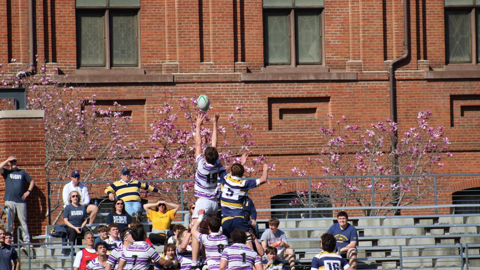 Lineout defense by Gonzaga. Photo William Seetch.