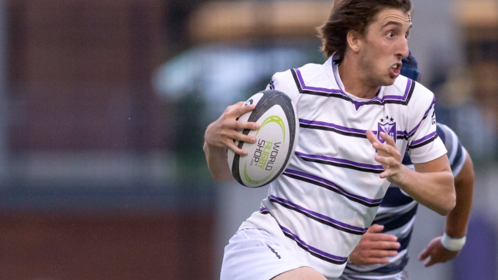 bau molinari gonzaga