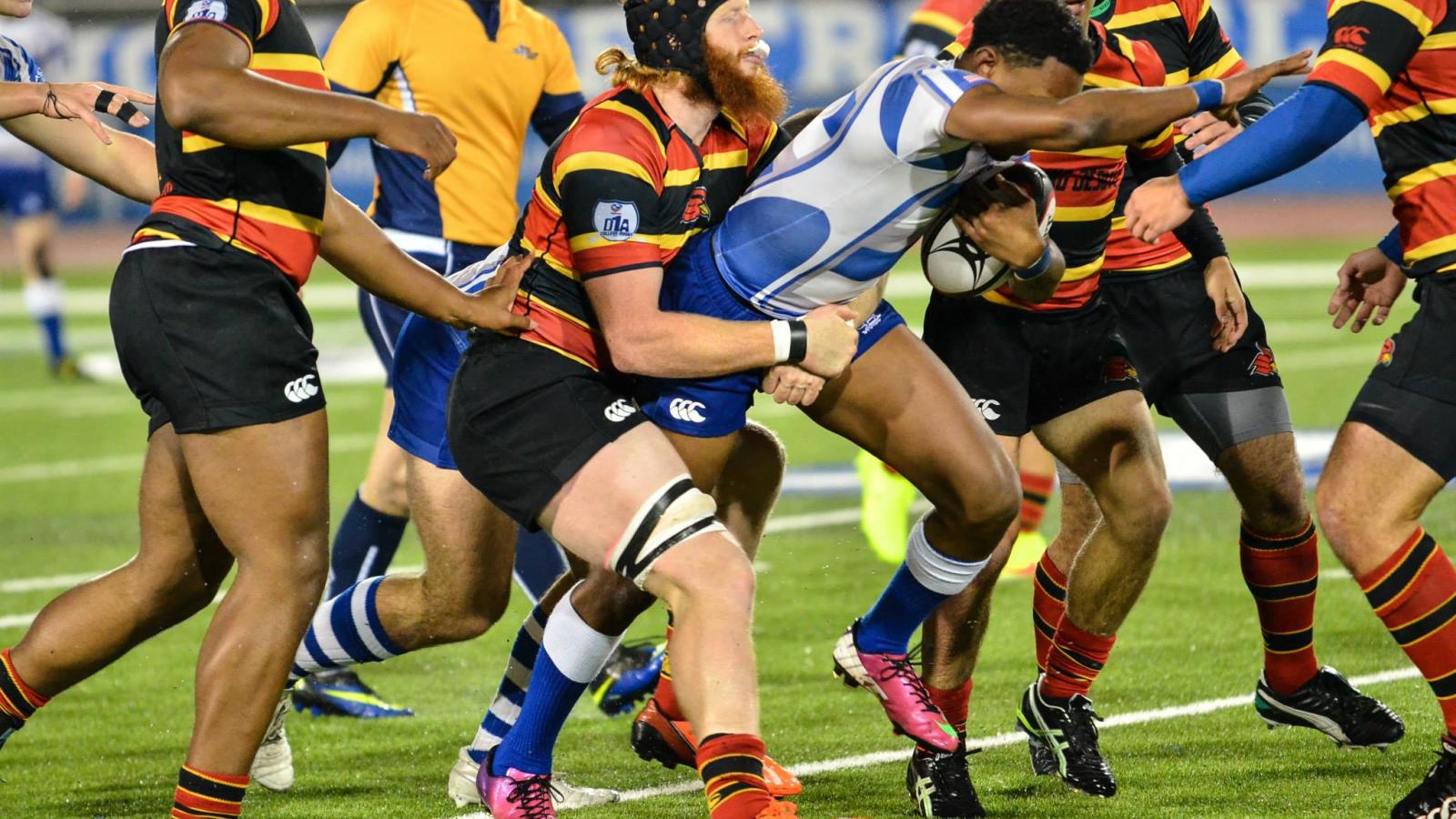 buffavwheelingjesuit