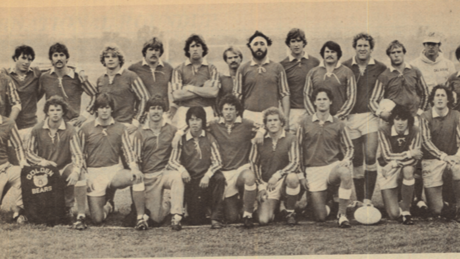 cal 1981