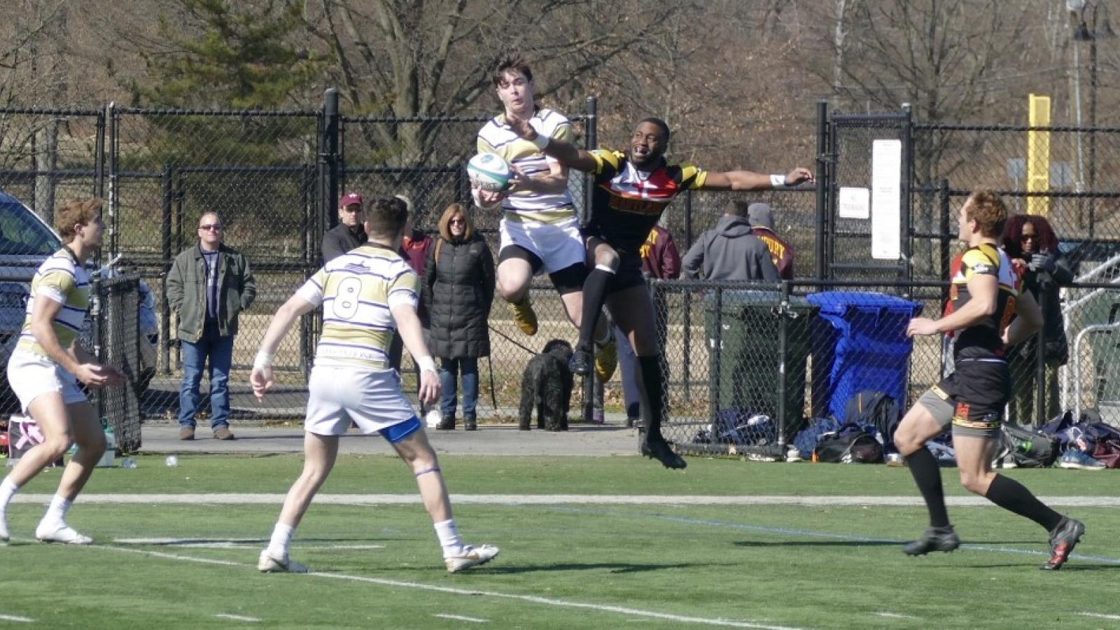 chesapeake 7s maryland 2020 linda zvitkovitz 5