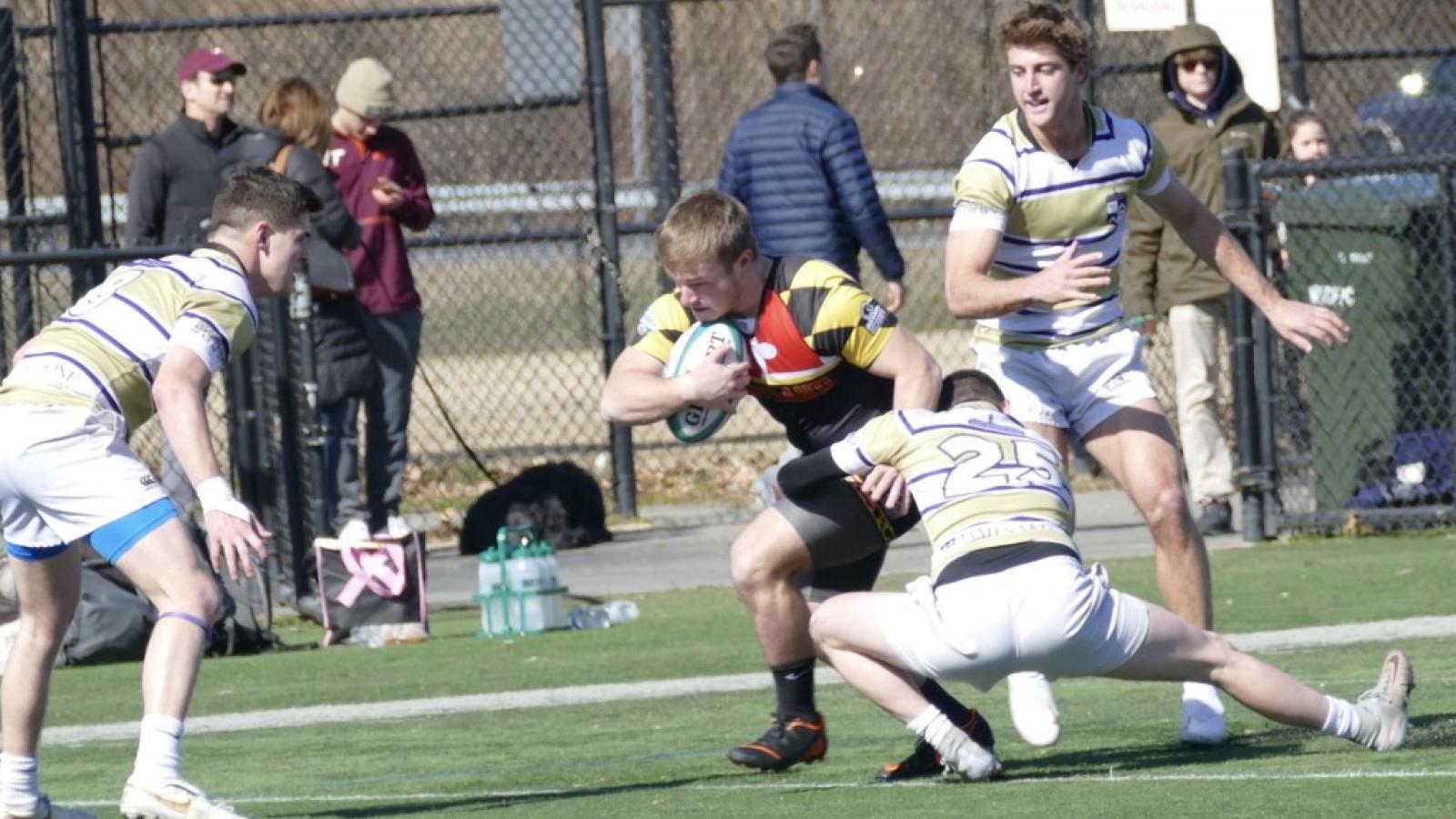 chesapeake 7s maryland 2020 linda zvitkovitz 6