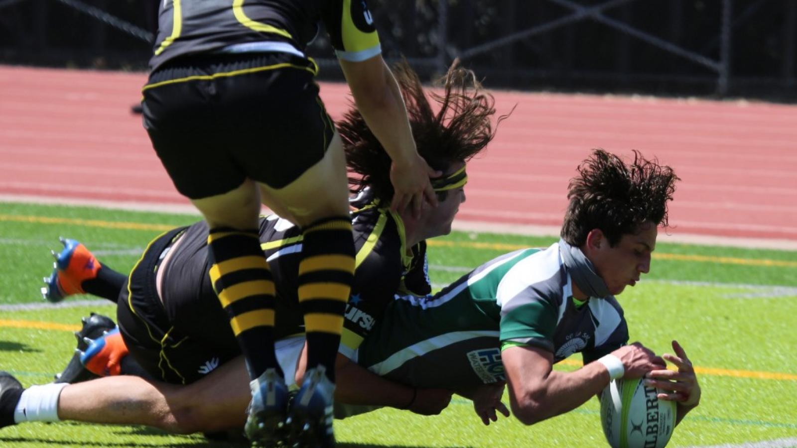 dls brendan regan