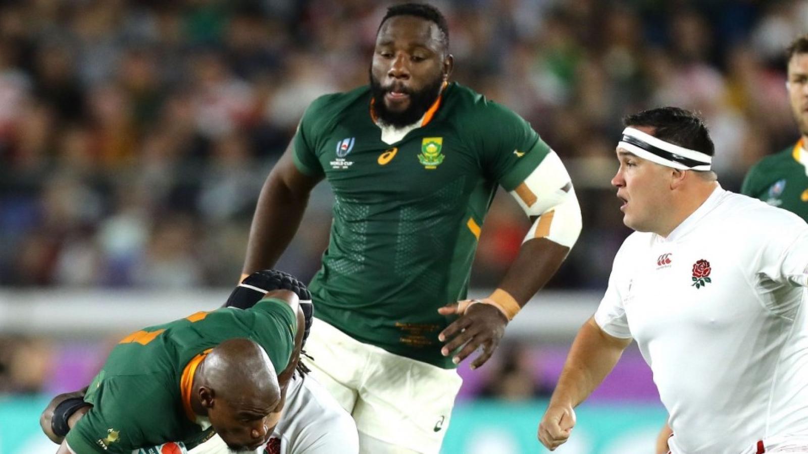 england v south africa   rugby world cup 2019 final richard heathcote world rugby via getty images