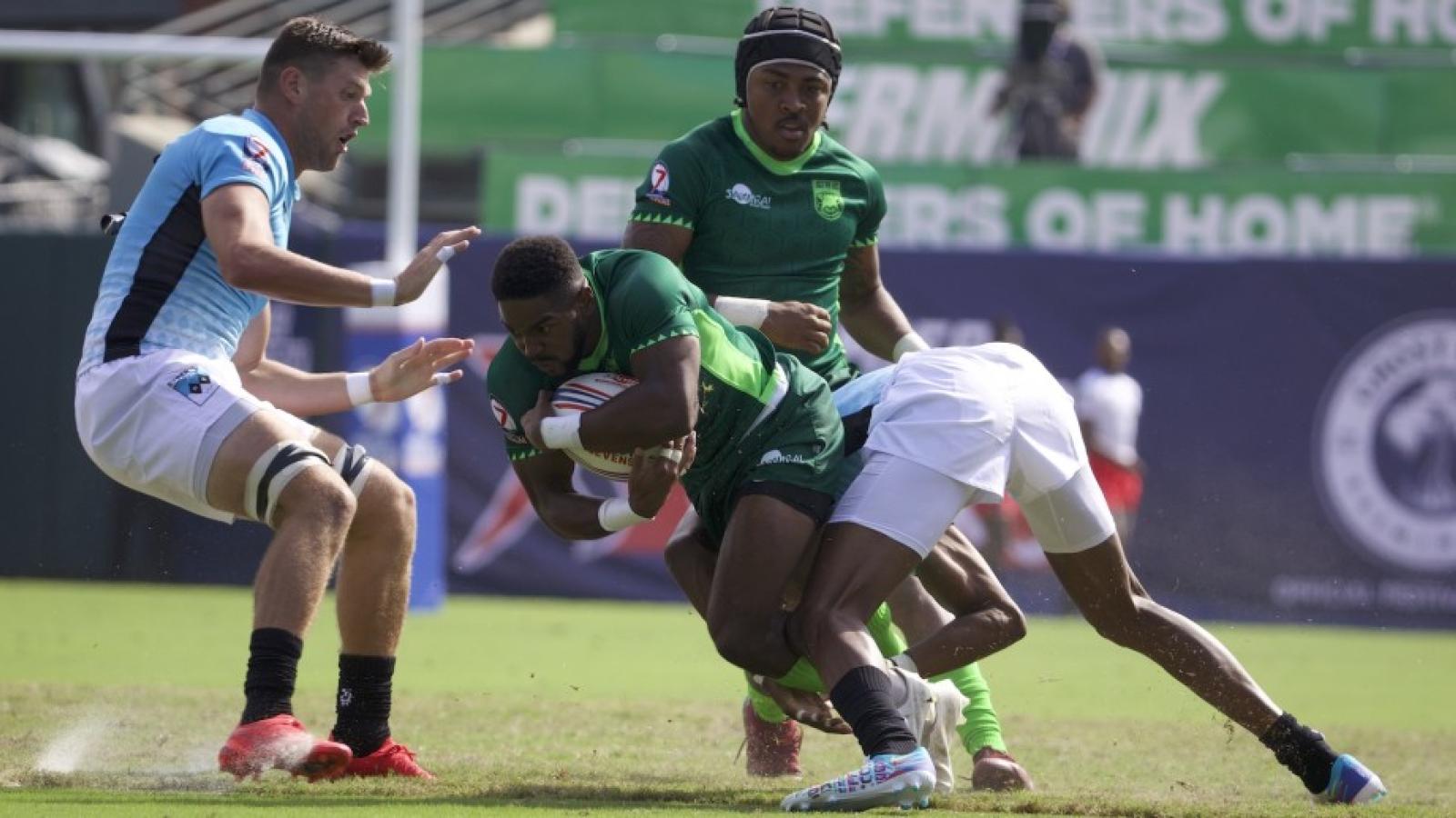 experts v loggerheads 2021 4