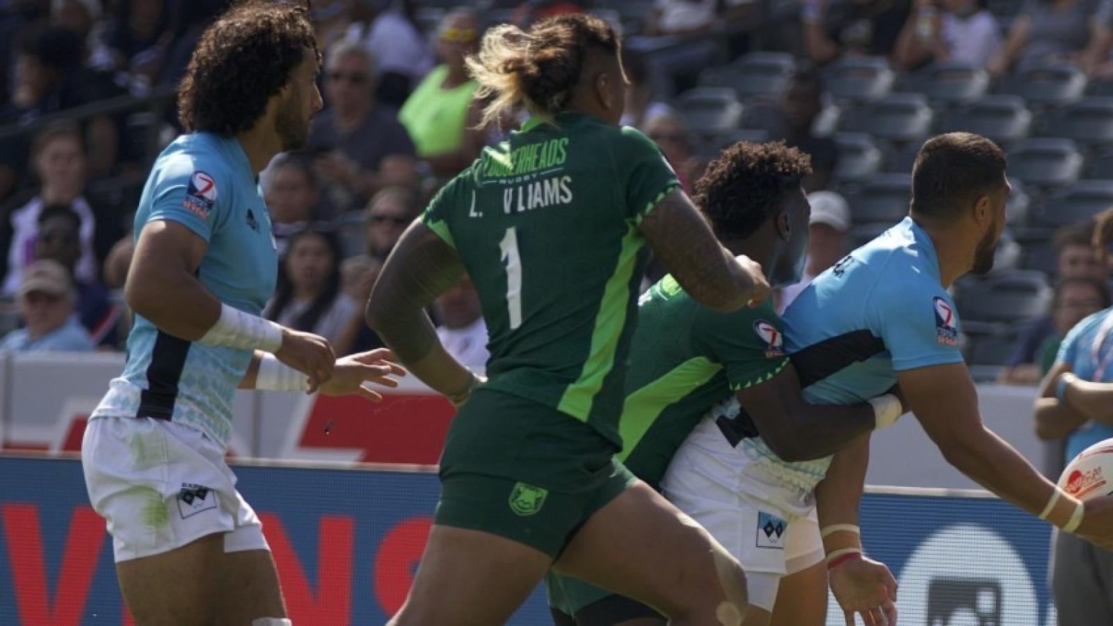 experts v loggerheads 2021 5