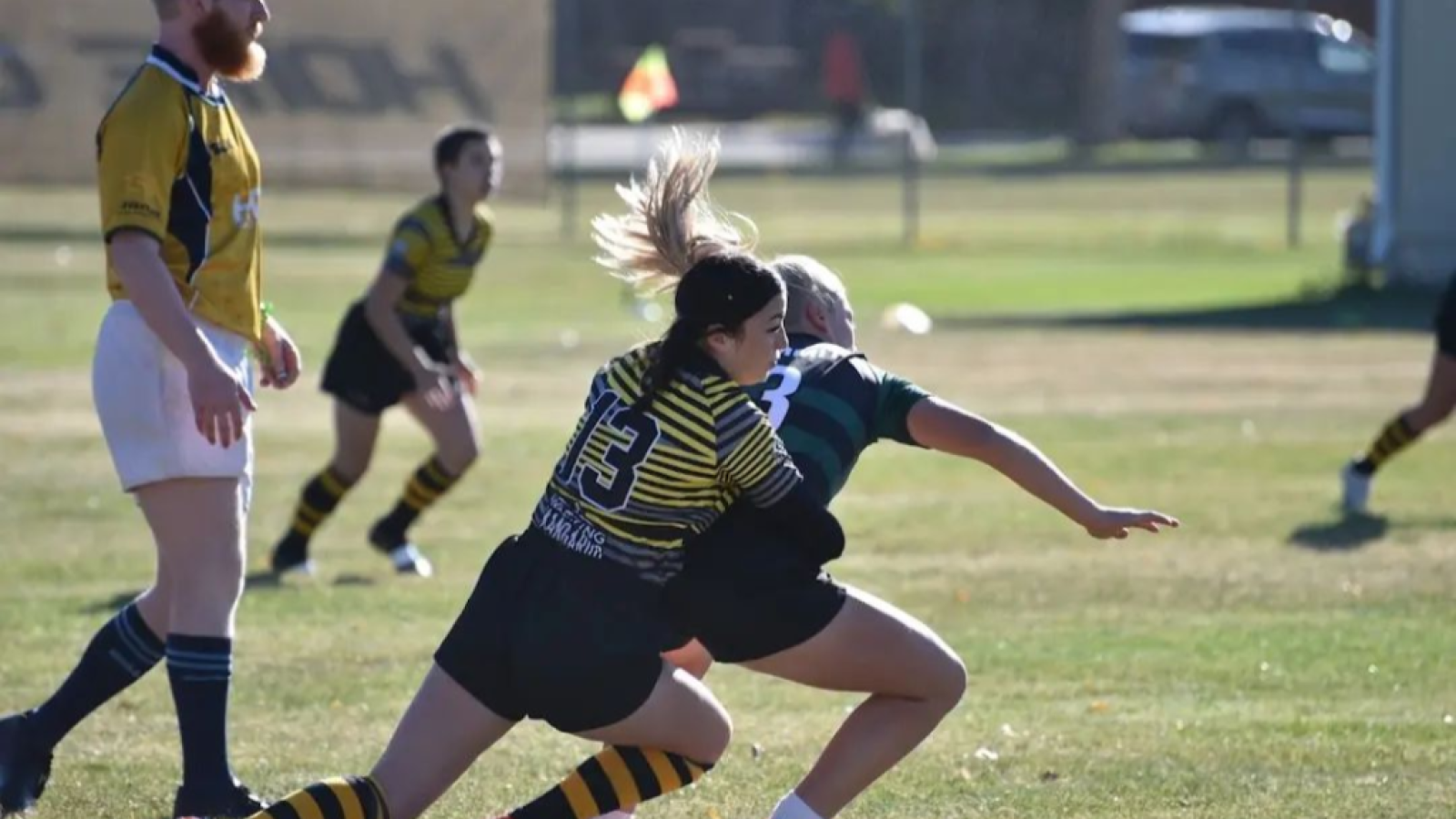 fort collins hammers 2024 4