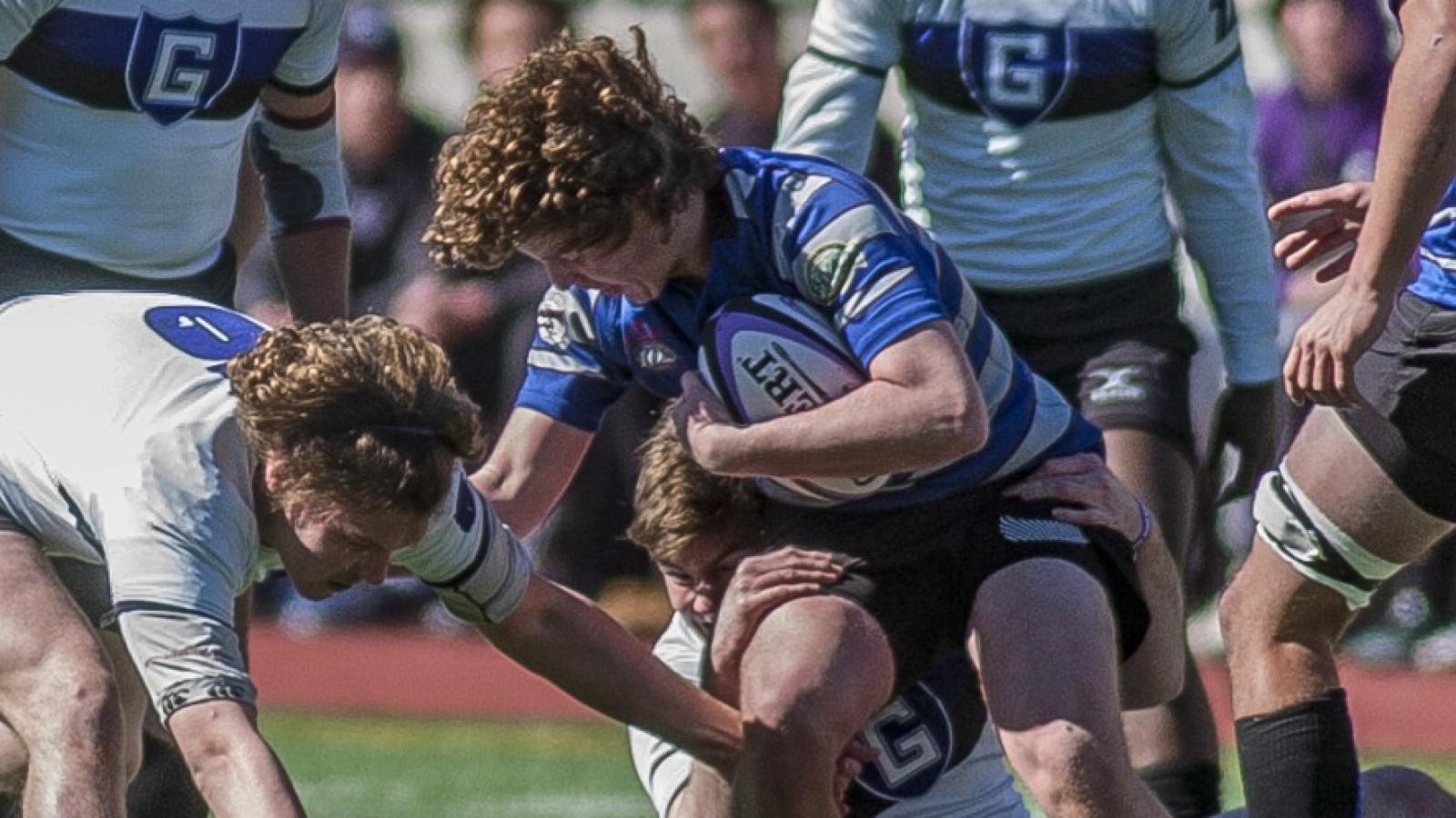 gonzaga forthunt mccloskey 1001