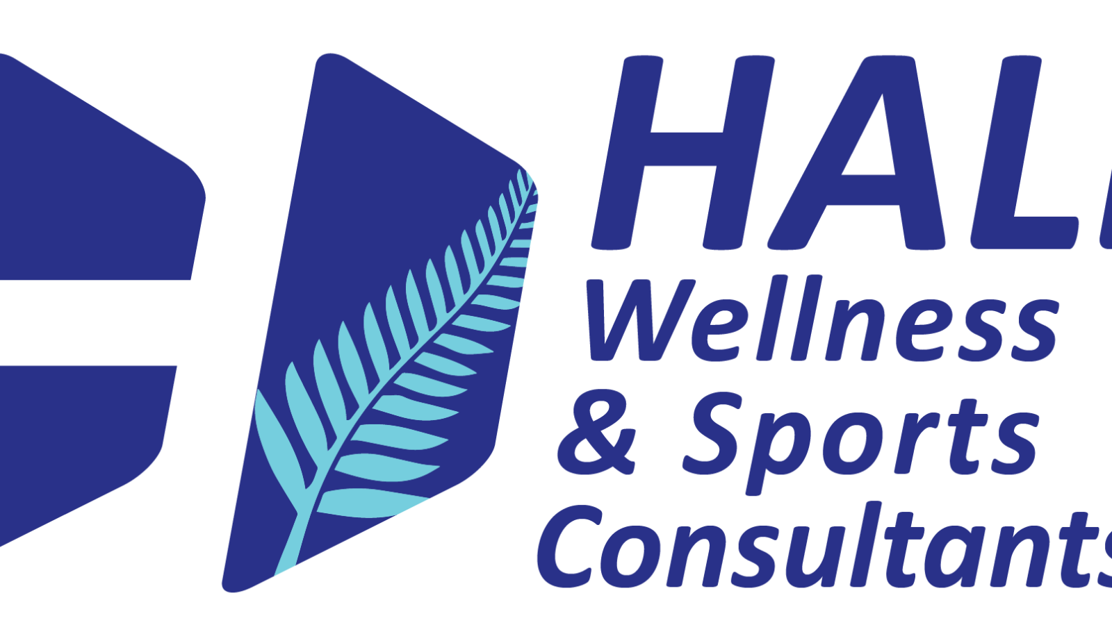 hall consultants logo trnsprnt