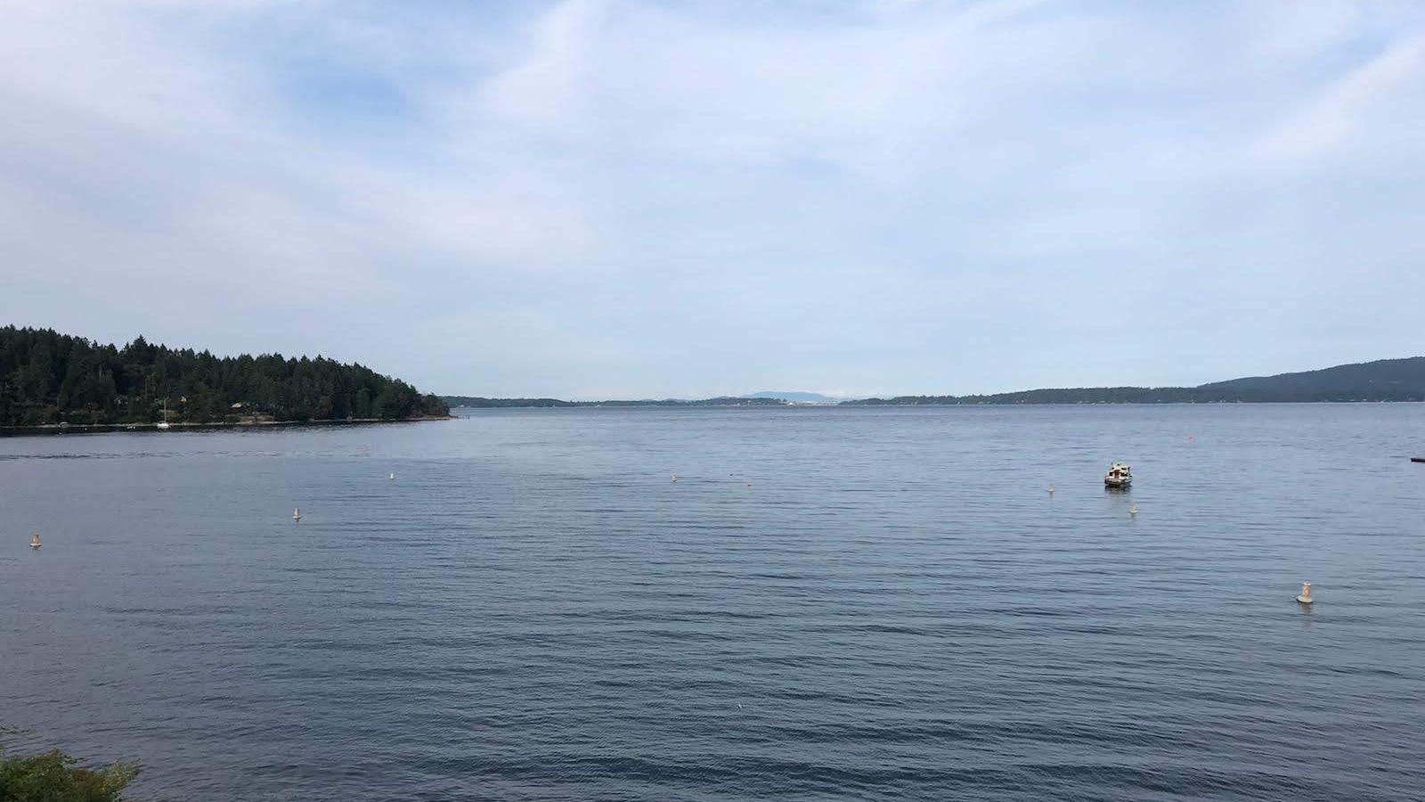 hsaa 2019 water