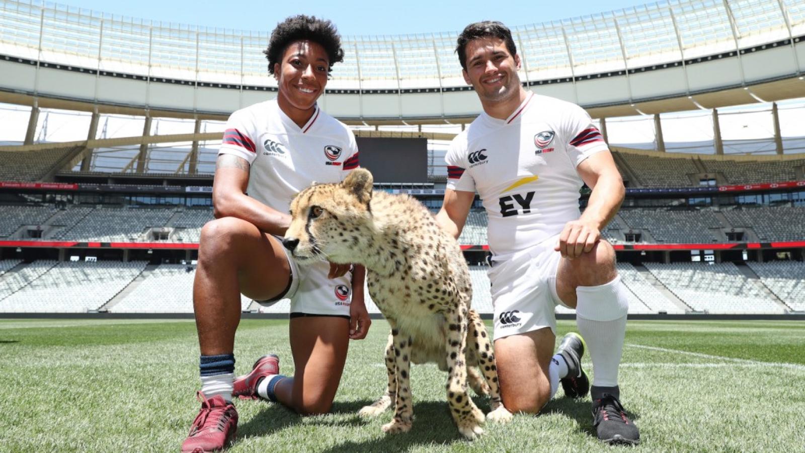 hughes thomas cheetah