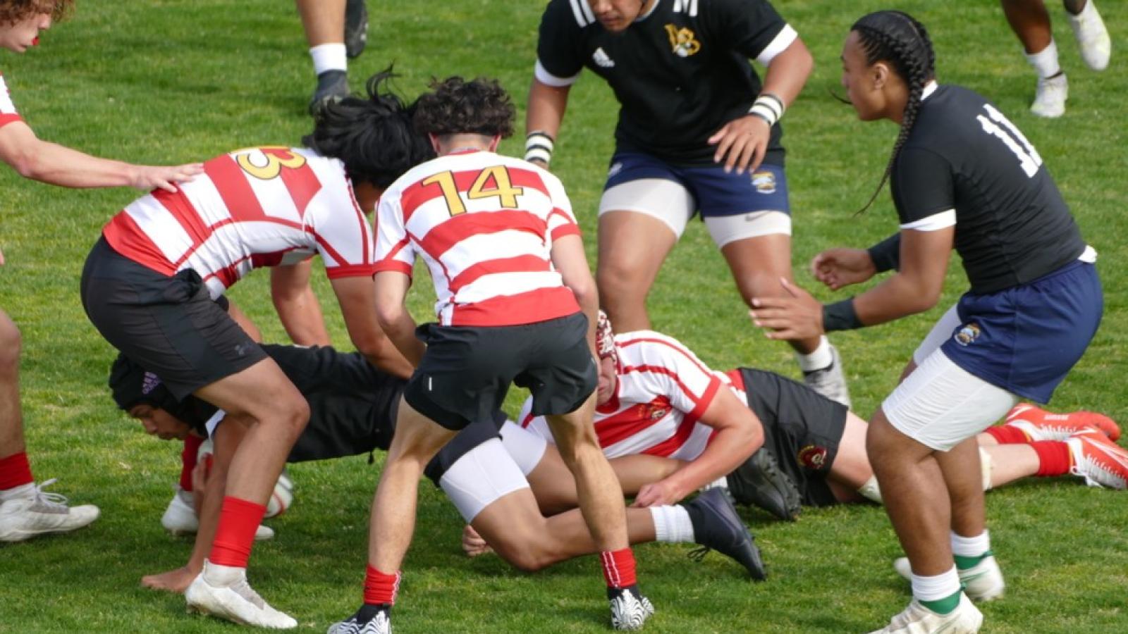 jesuit v lb poly 2022 curtis popp 2