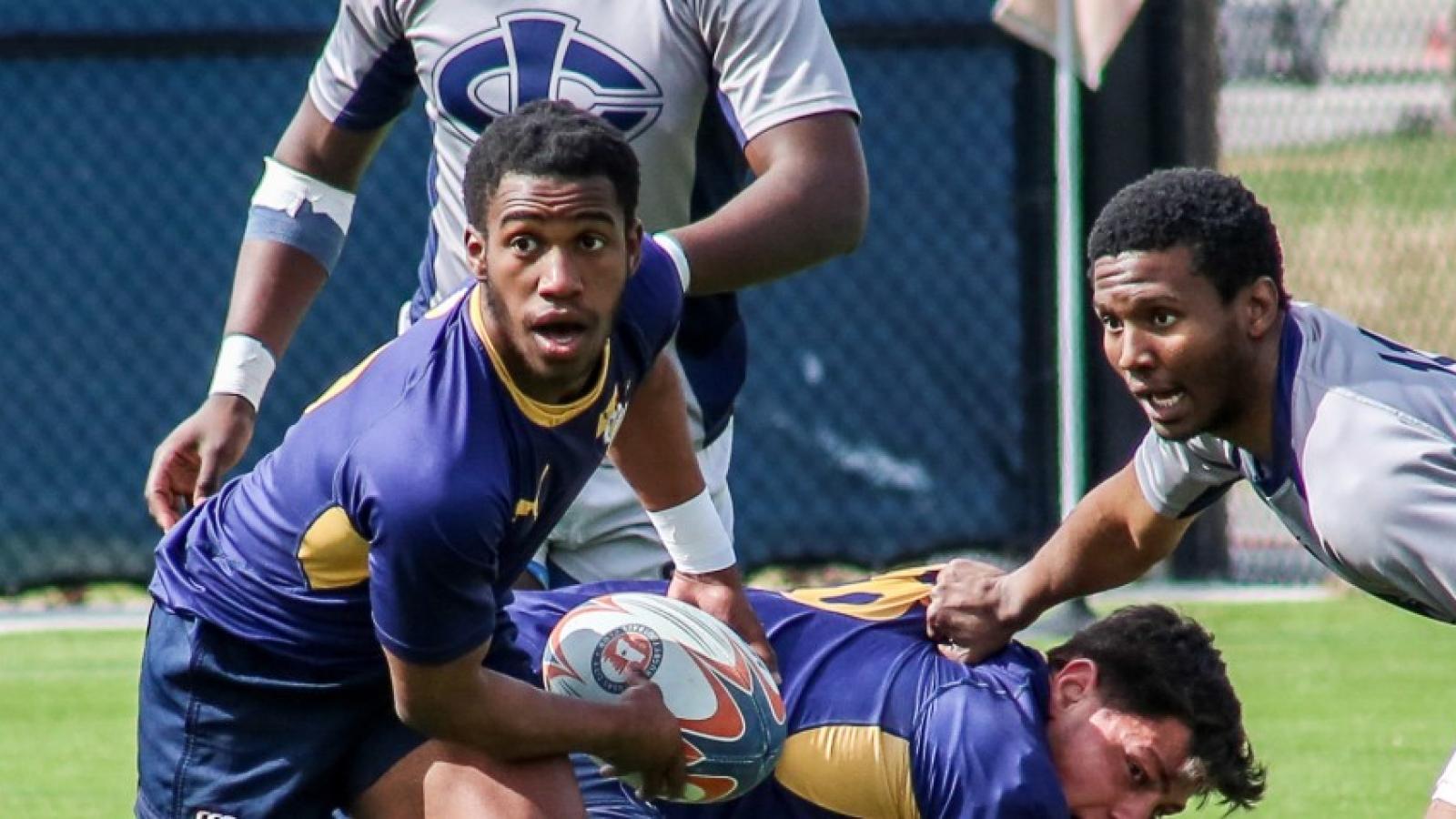 kc7s 2024 t chickens griff hastings 101