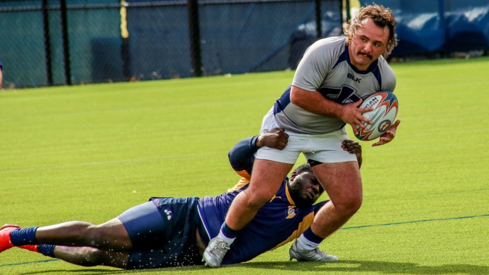 kc7s 2024 t chickens griff hastings 162