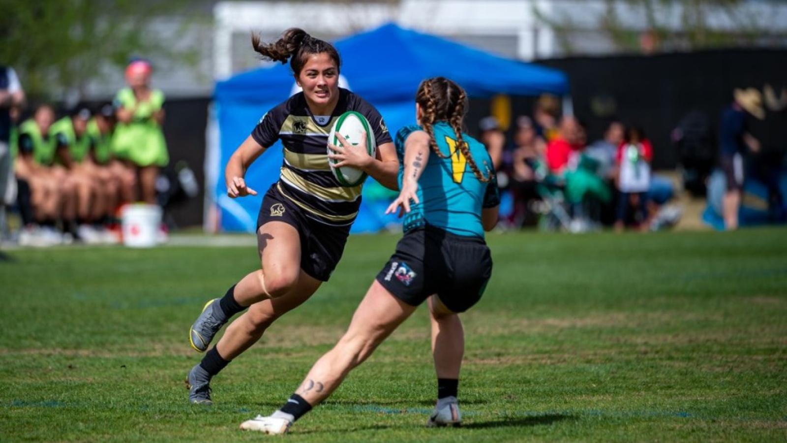 lai 2020 david barpal 103 0