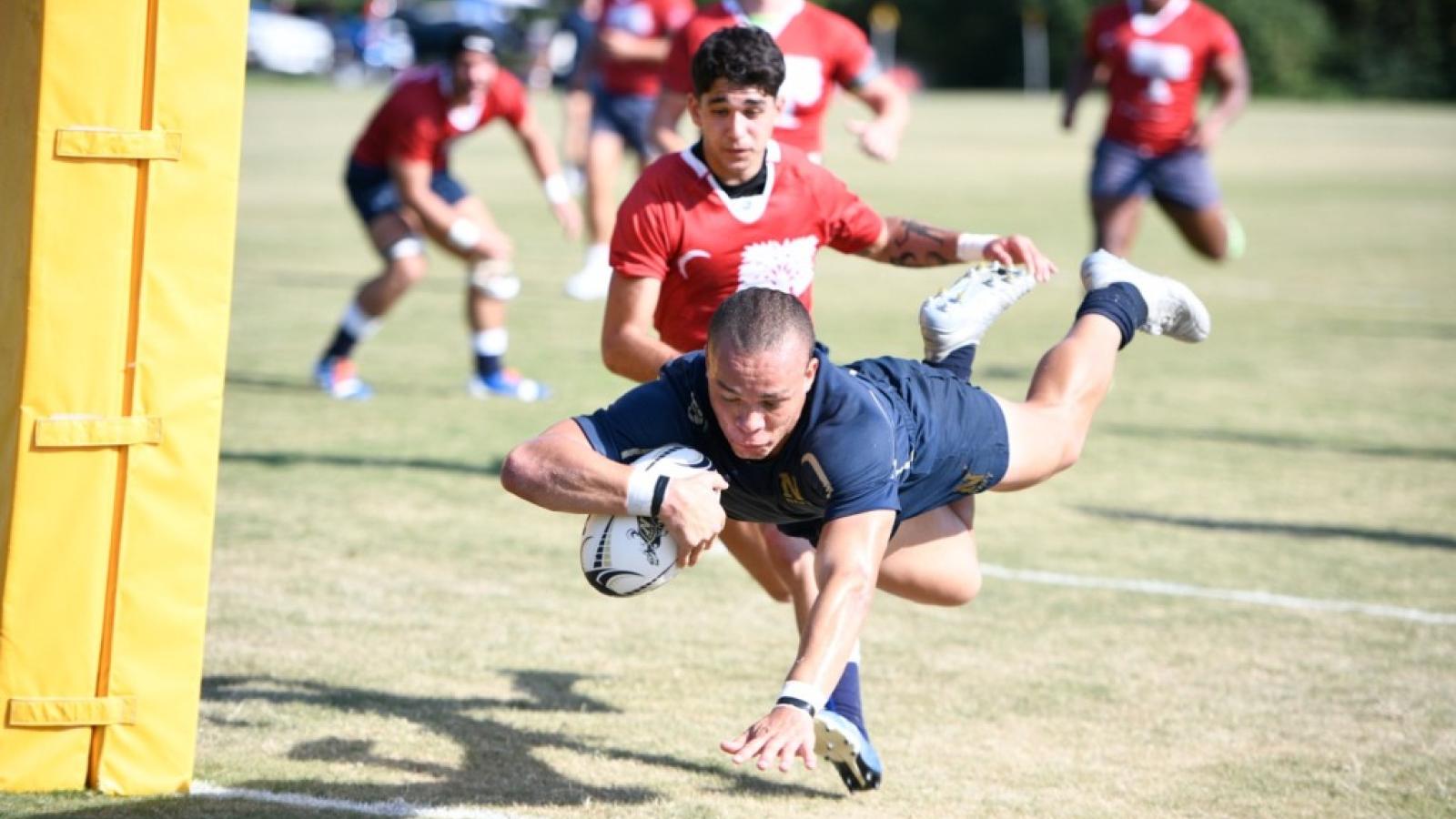 lewis gray for navy 2022