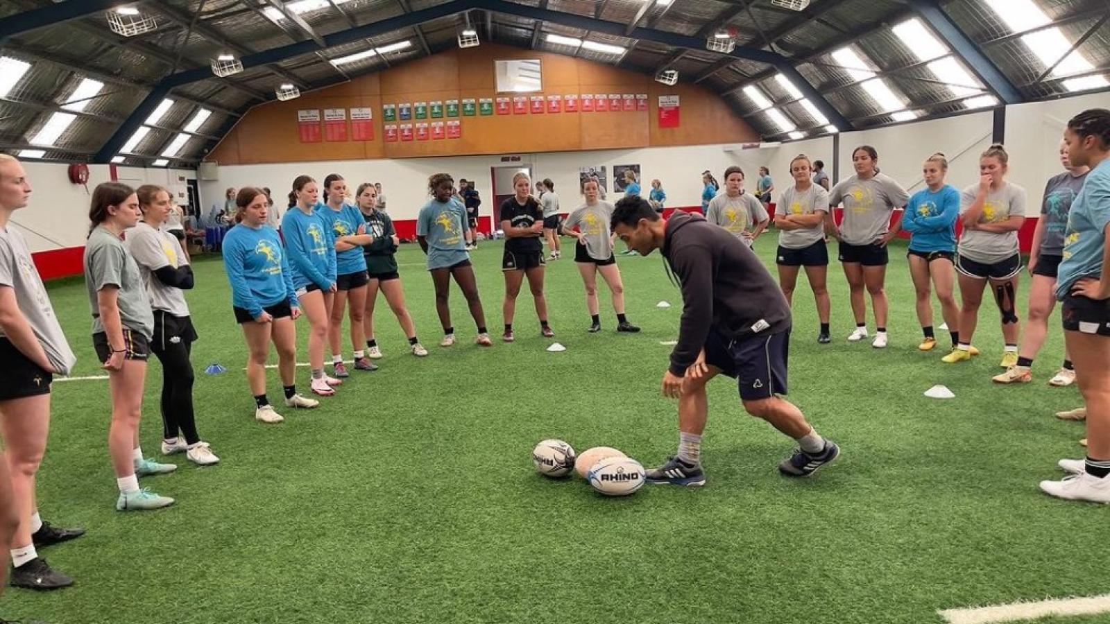 marist sessions mw baby birds
