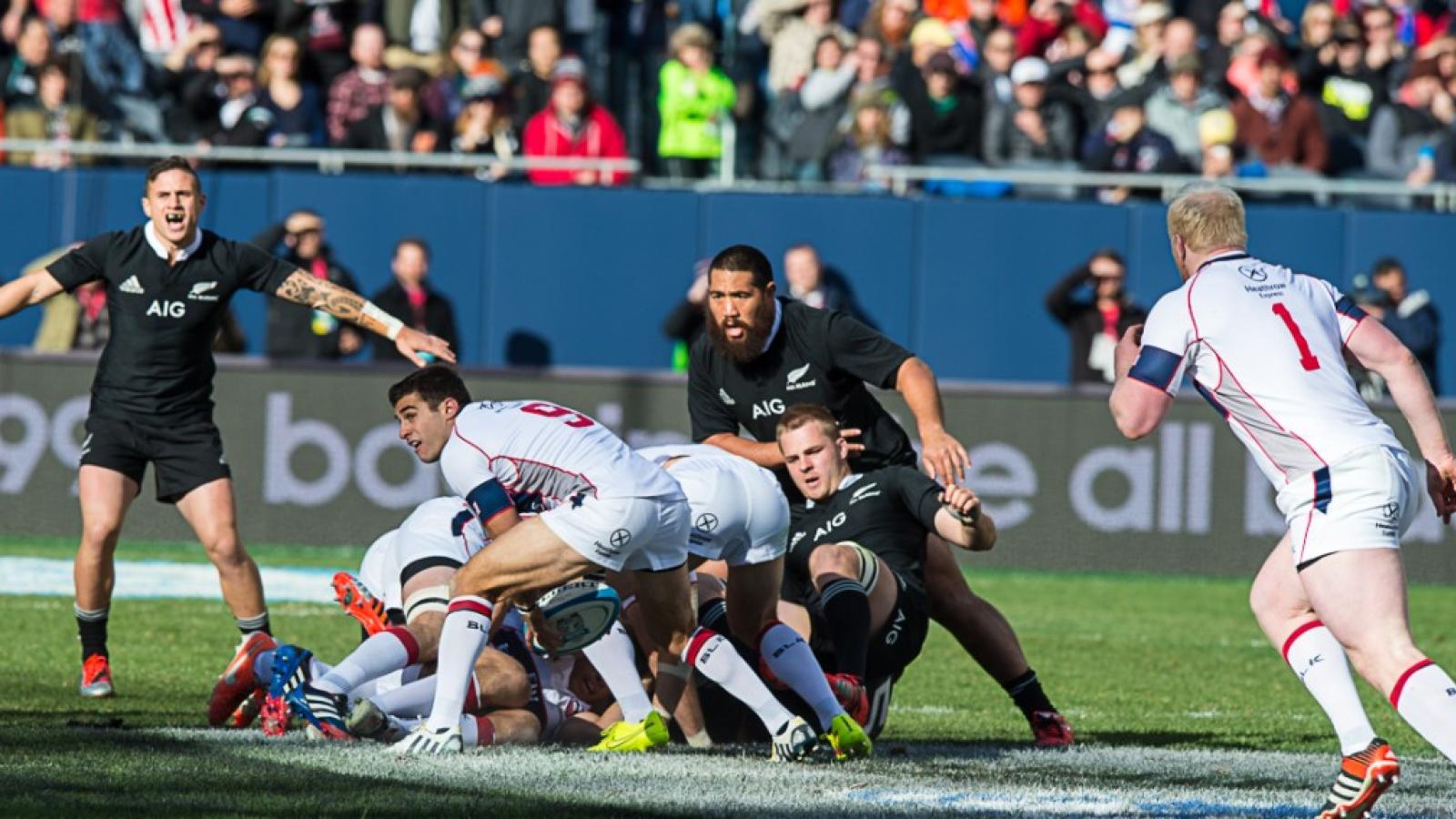 mike petri eagles all blacks barpal  343
