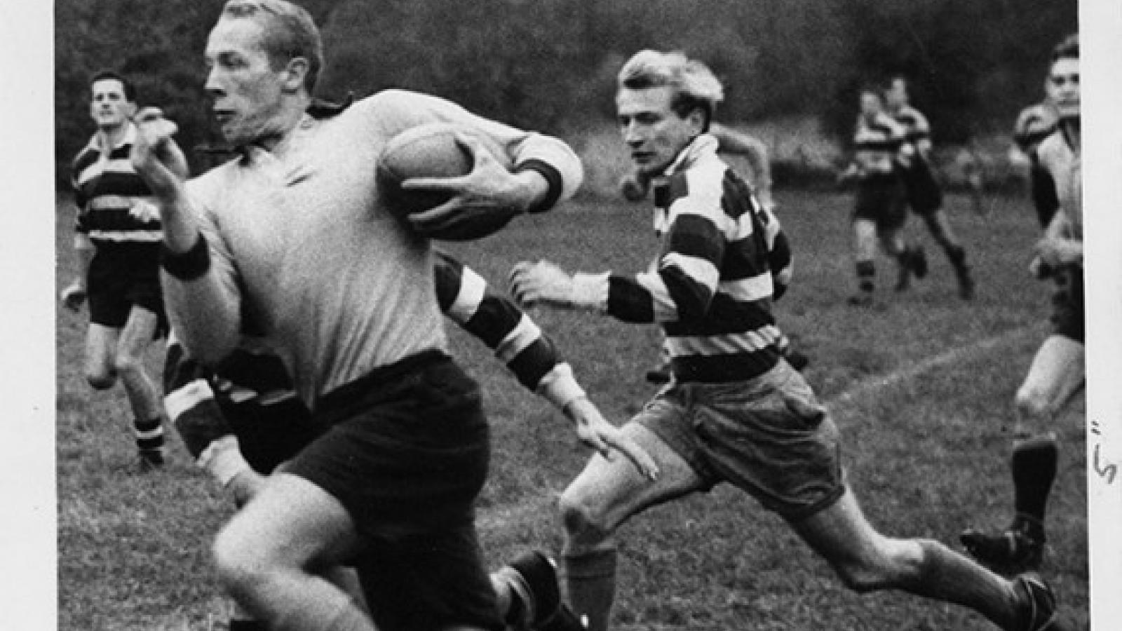 pete dawkins run petedawkins com