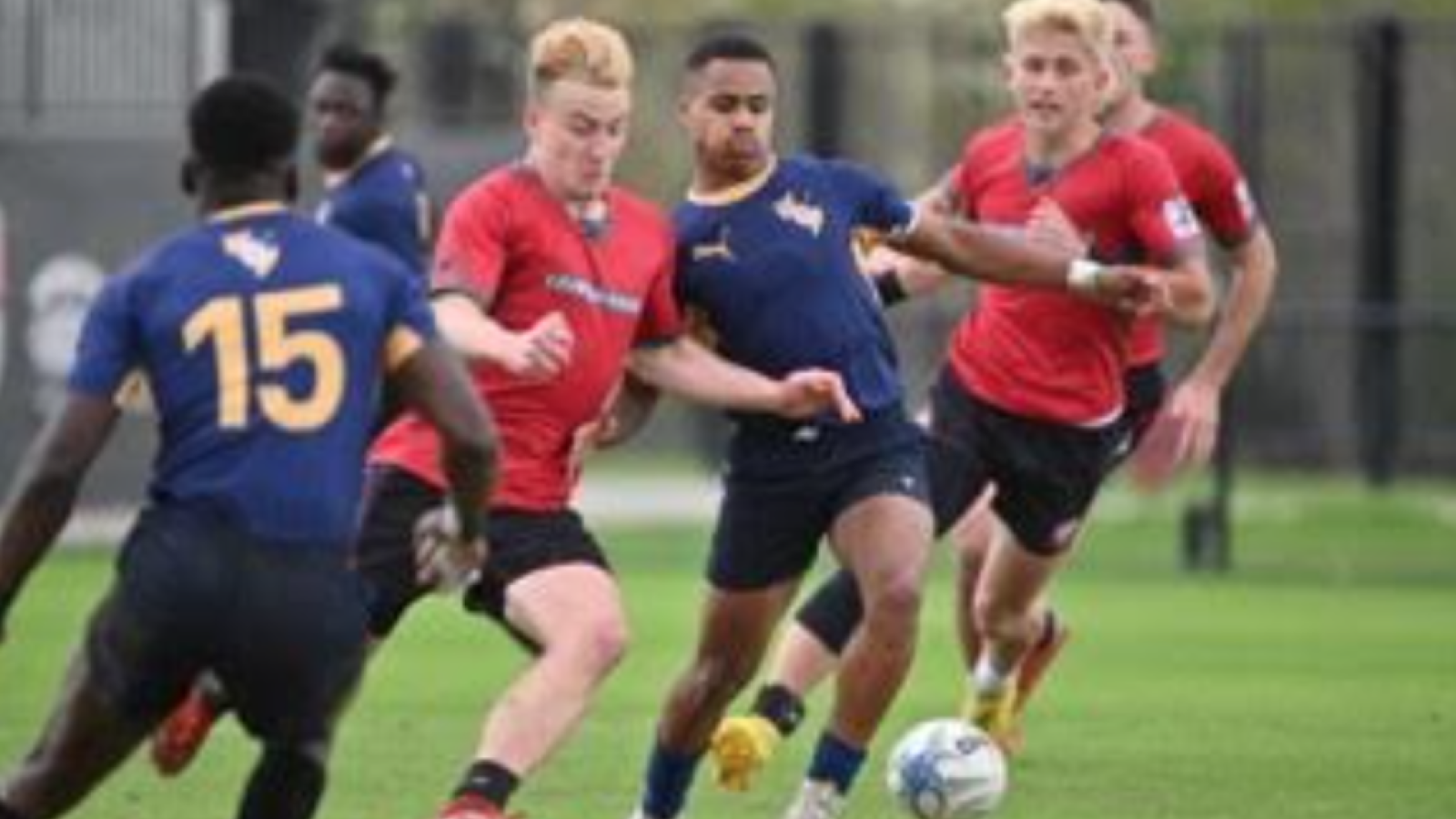 principia v iup olly lasiende