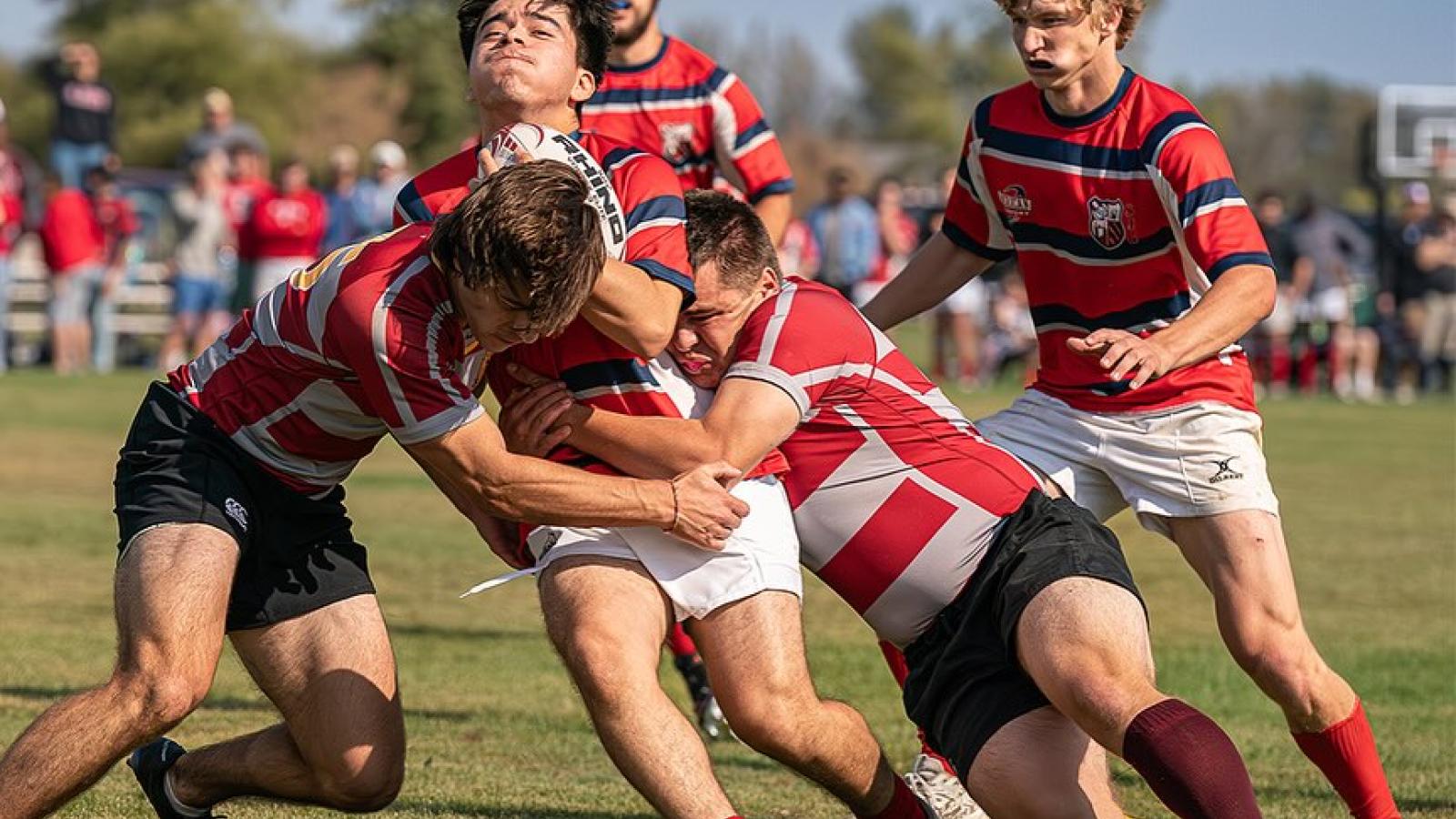 st johns vs st thomas northern lights 2024