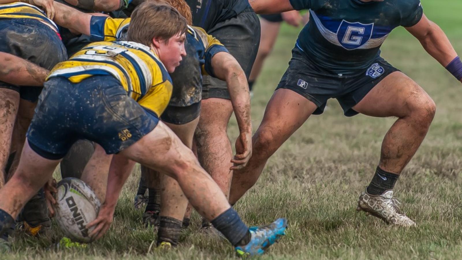 stignatius2016 mccloskey 3