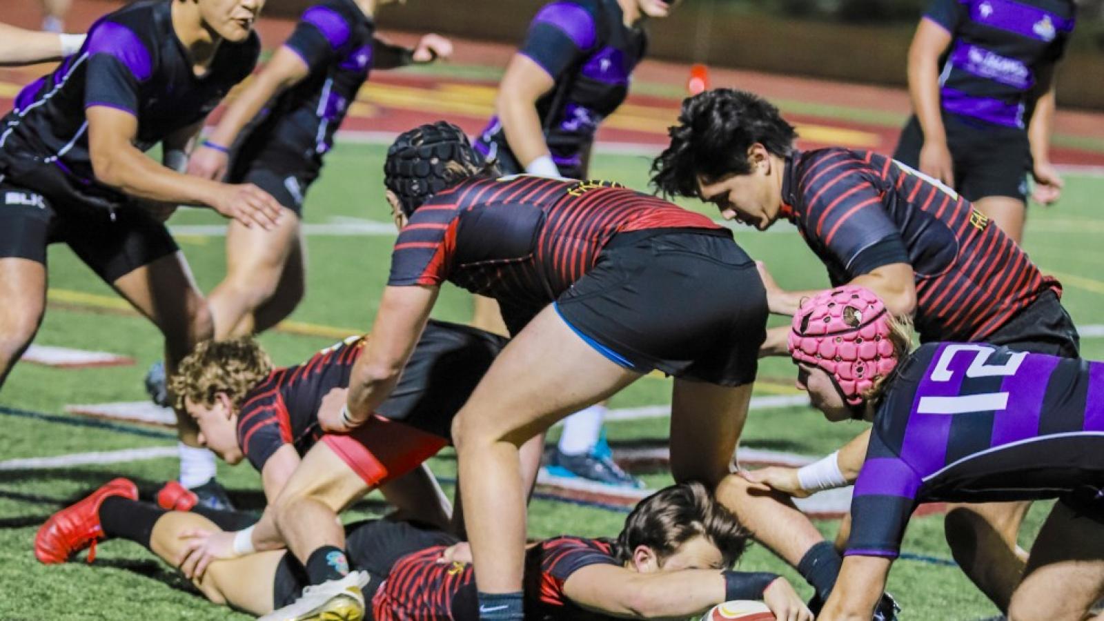 torrey pines v lb poly 2022 holland king 3