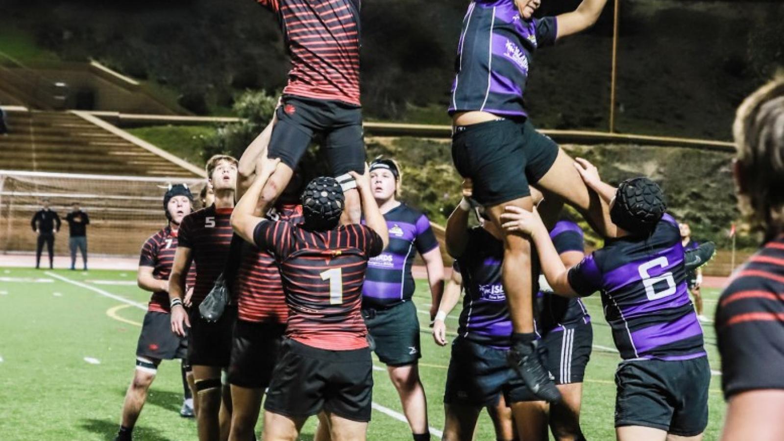 torrey pines v lb poly 2022 holland king 4