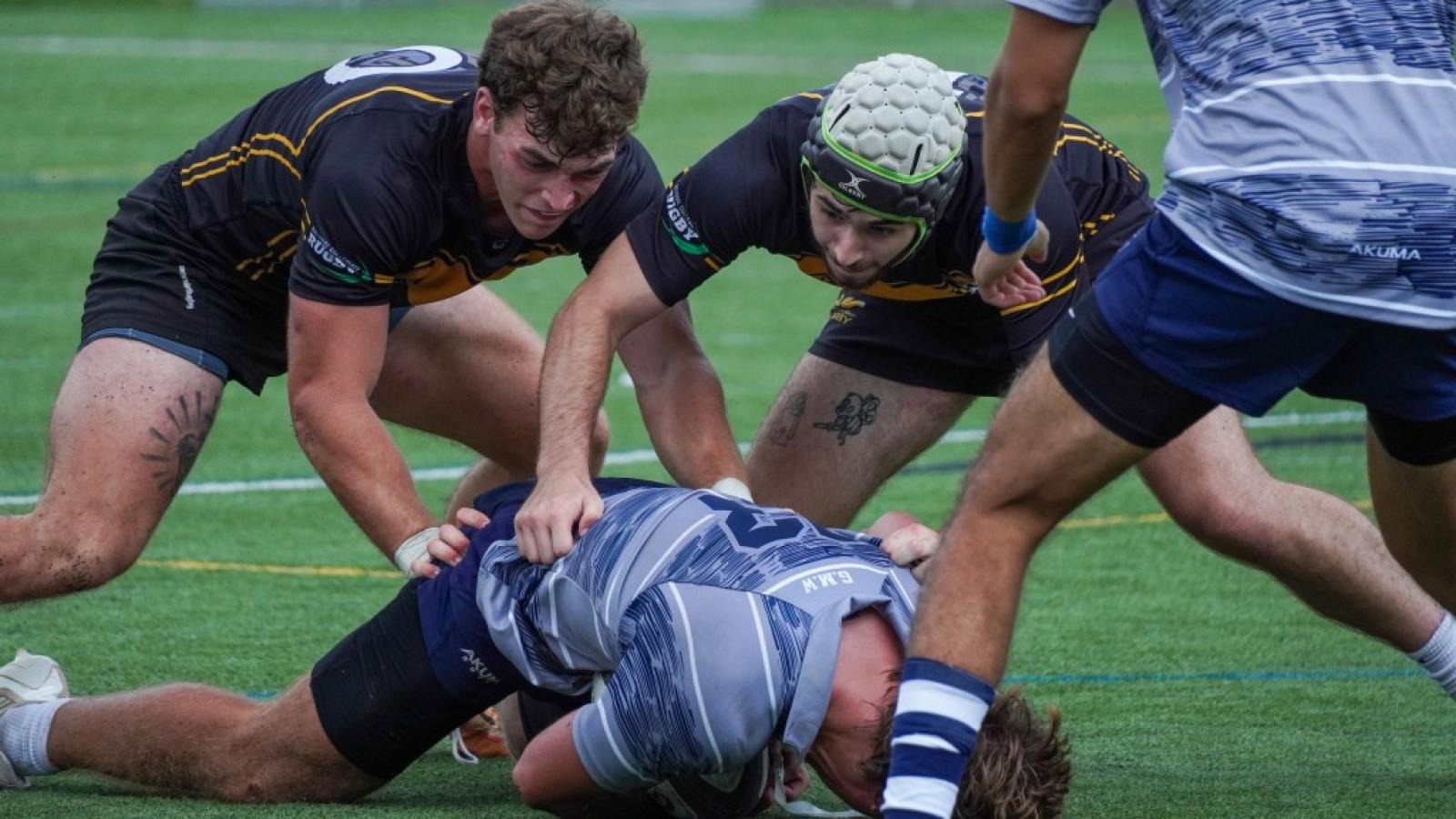 towson fall 2024 grant smith media 1488
