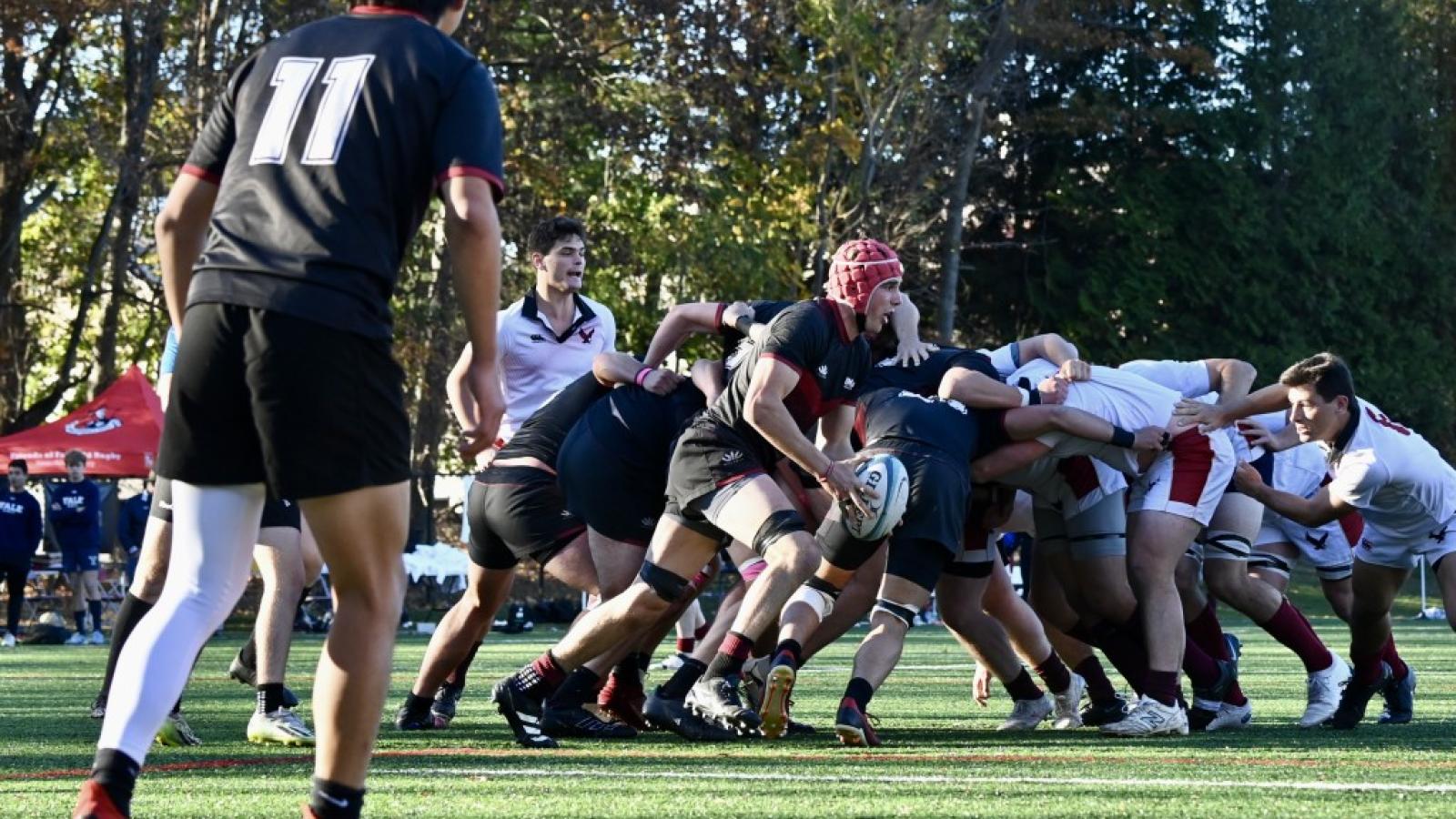umass vs bc 2024 crp  7561