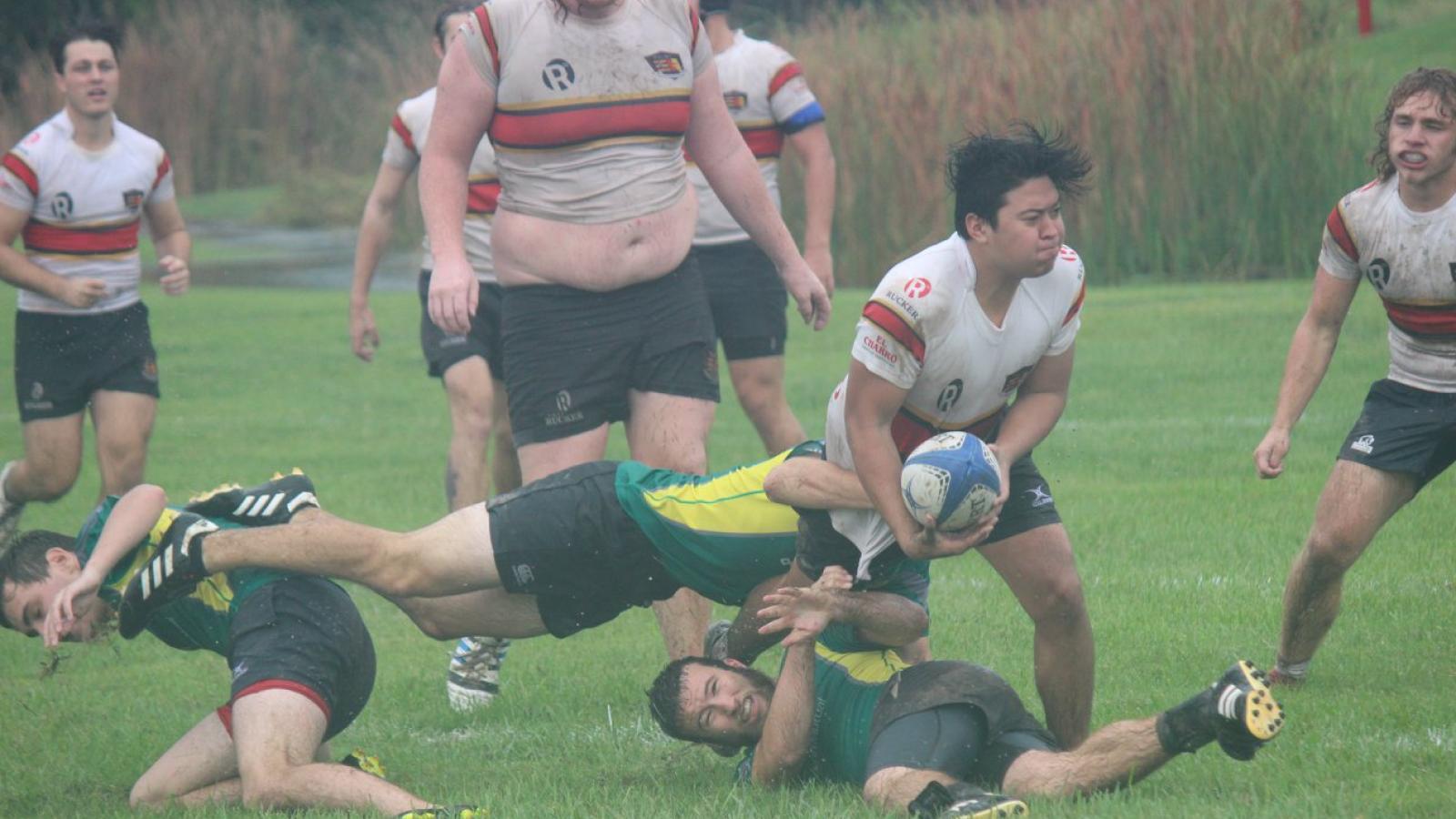umst vs pitt 2019   mt rugby 3