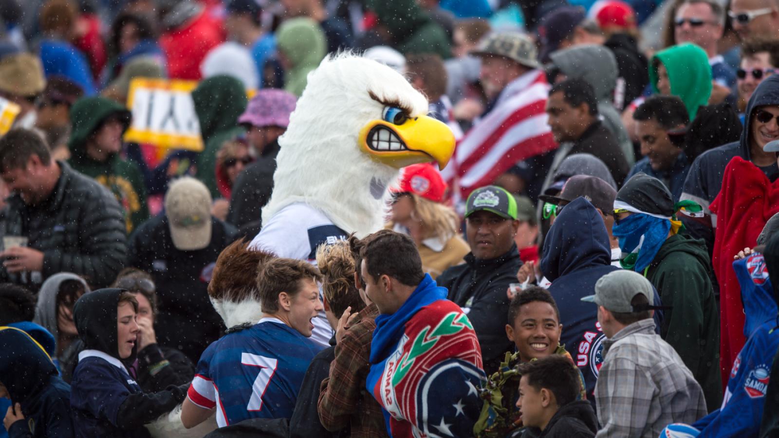 usa 7s d3 429