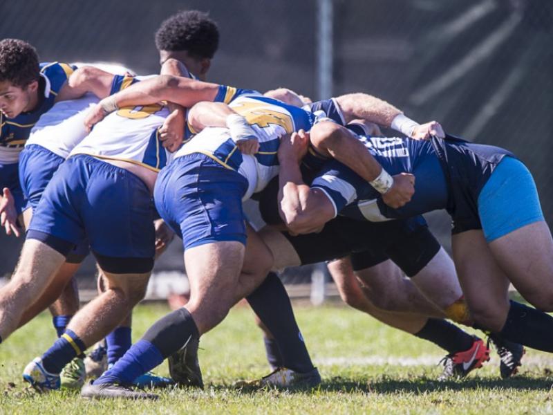 171022 west coast 7s barpal 3611