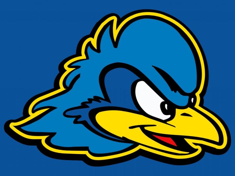 Delaware Fightin Blue Hens02
