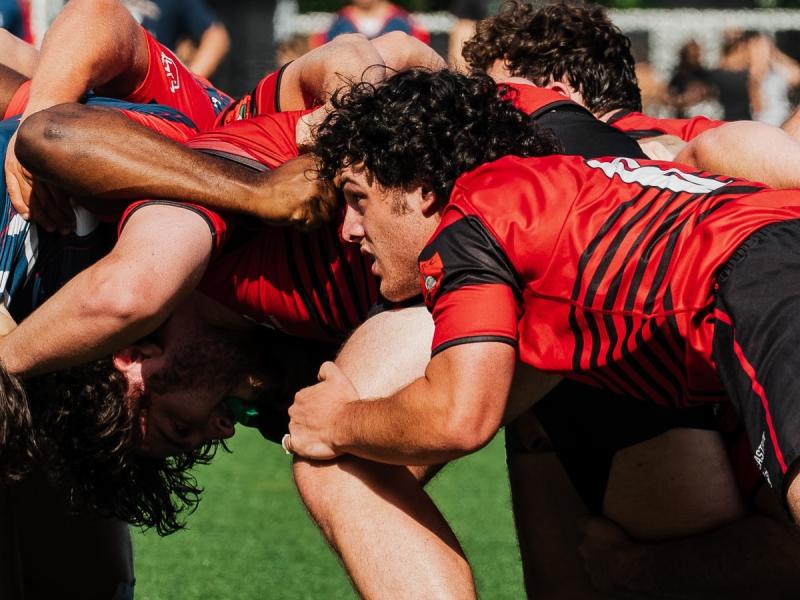 Northeastern scrums fall 2026.