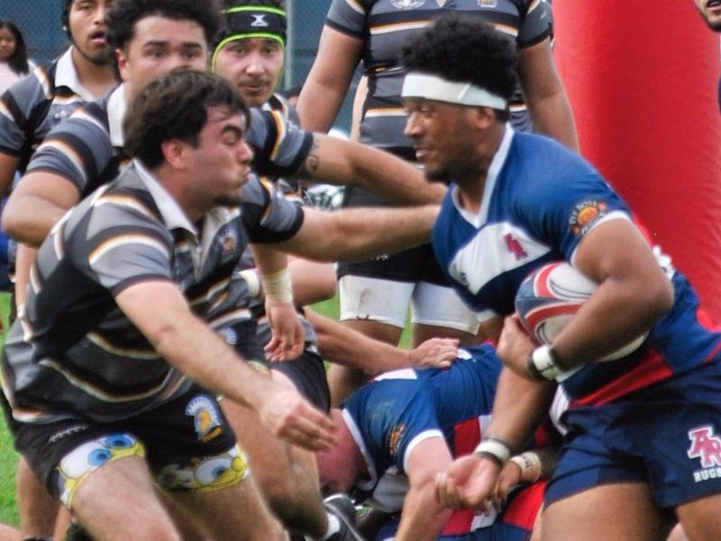 Save Gucake for ARC. Alex Sitorus photo.