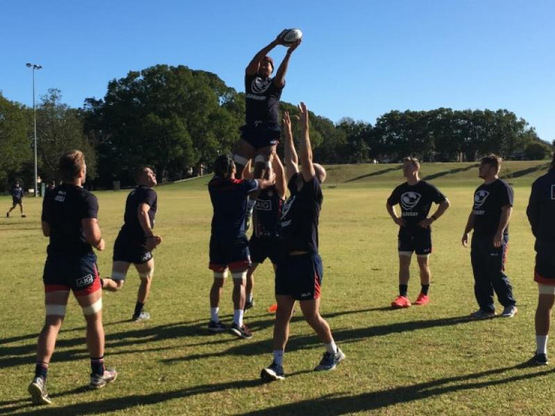 allamericans brisbane 2016 2