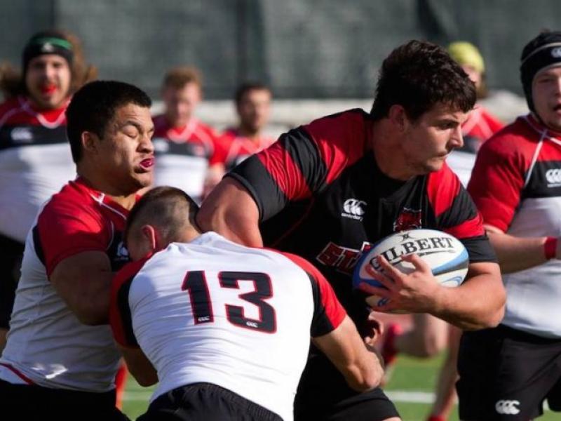 ark state v davenport zomberg 4