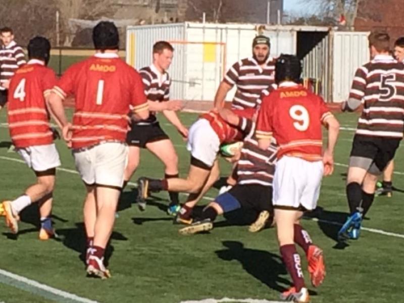 bchigh2016 1