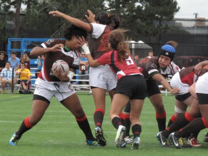 brown harvard ArielPeak 0