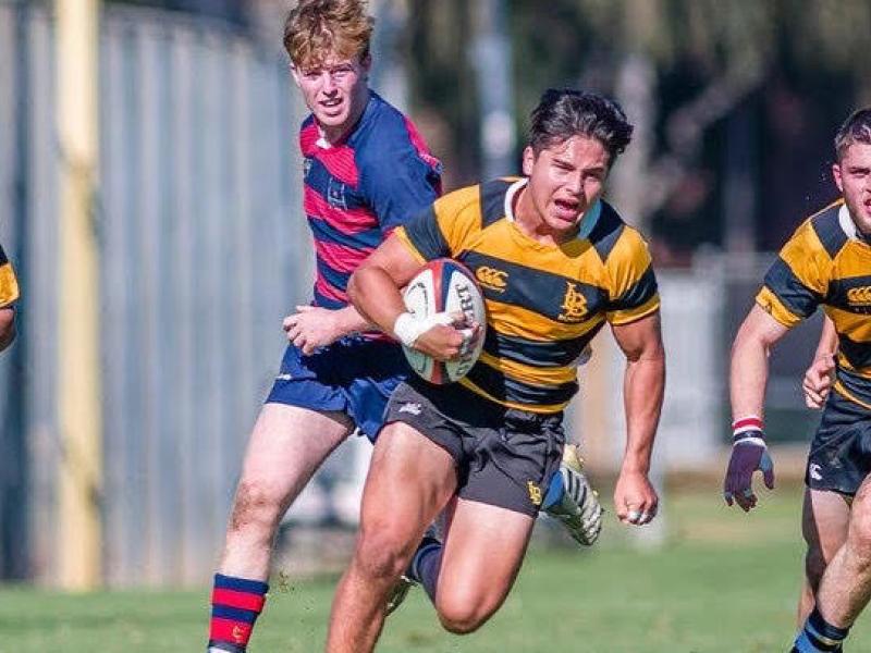 csulb fall 2021 3 1